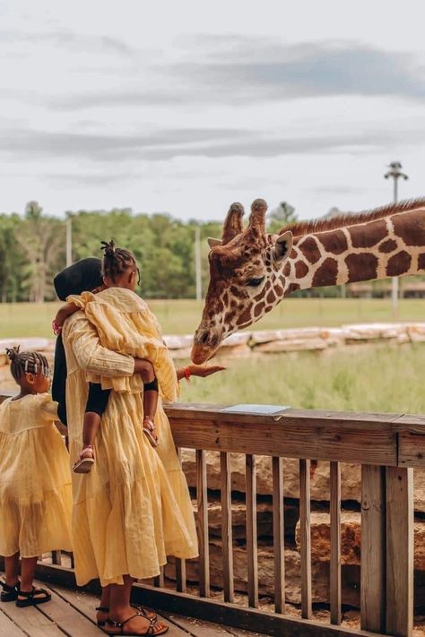 Conversation Tips, Divinely Guided, Black Motherhood, Vision Board Photos, Millennial Mom, Vacation Photography, Black Family, Wisconsin Dells, Family Vacation Destinations