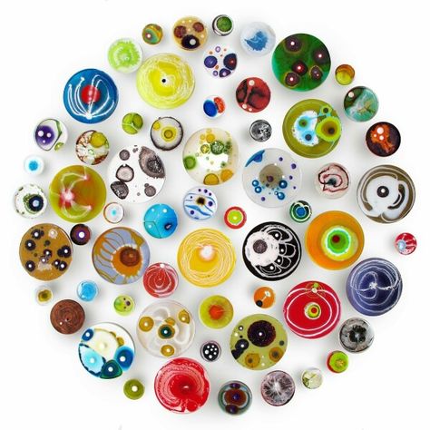 Colorful plates Petri Dish Art, Klari Reis, Kombucha Brands, Dish Art, Words On Wood, Petri Dishes, Bio Art, Petri Dish, Spring Projects