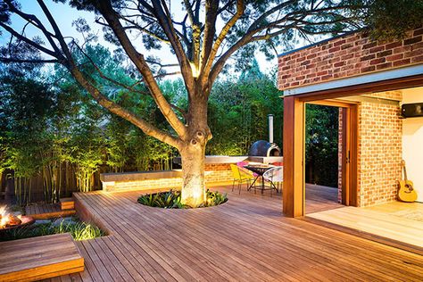 Breathtaking Naroon Modern Backyard for Unlimited Outdoor Fun and Relaxation Backyard Bamboo, Entertainment Backyard, Deck Around Trees, Small Backyard Decks, Modern Backyard Design, Deck Landscaping, Contemporary Backyard, Backyard Trees, Wooden Deck