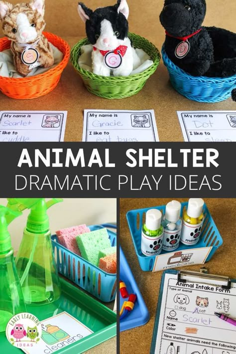 Easy Dramatic Play, Dramatic Play Area Ideas, Dramatic Play Ideas, Pet Activities, Dramatic Play Themes, Create An Animal, Pet Theme, Pets Preschool Theme, Dress Up Clothes