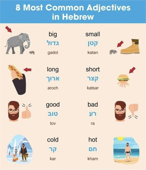 Learning Hebrew For Beginners, Words In Hebrew, Jewish Holiday Calendar, Hebrew Language Learning, Common Adjectives, Yiddish Words, Hebrew Language Words, Hebrew Education, Jewish Quotes