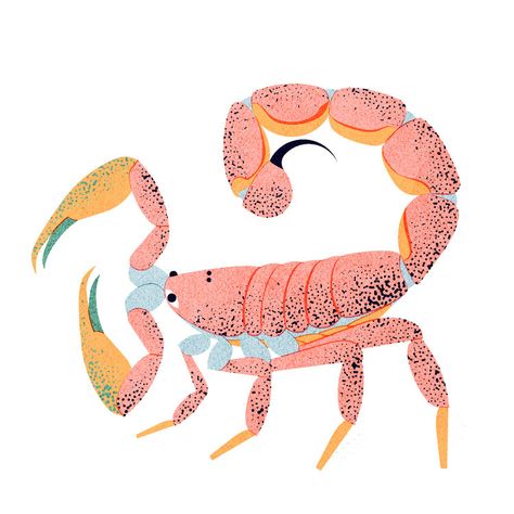 Aries Art, Story Books Illustrations, Zodiac Art, Creature Art, Cute Illustration, Figurative Art, Scorpion, Crab, Animal Art