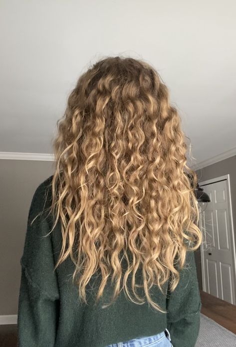 Long Textured Wavy Hair, Blonde Curly Balayage Natural, Long Blond Curly Haircut, Blonde Highlights On Blonde Hair Curly, Naturally Curly Blonde Balayage, Curly Blonde And Brown Hair, Blonde Curly Hair Layers, Blonde Hair On Curly Hair, Healthy Blonde Curly Hair