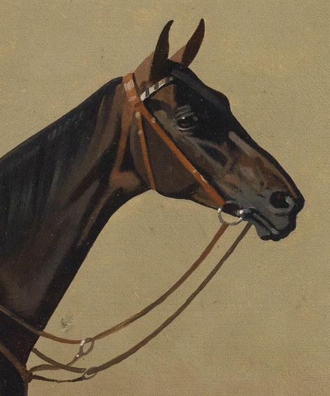 Set of 12 Vintage Horse Portraits | Equestrian Gallery Wall – Hart Equestrian Dark Bay Horse, Horse Portraits, Four Horses, Equine Portraits, Oil Painting Frames, Bay Horse, Equestrian Decor, Equestrian Art, Horse Portrait