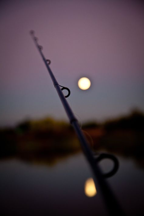 Listening to the frogs as night falls upon us, watching the moon begin its ascent, casting and not really caring if we get a bite because it's just about this place and this moment, with you.. "you & me going fishin' in the dark".. Fishing Photography, Fishing Quotes, Night Fishing, Fishing Life, Beautiful Sights, Gone Fishing, Going Fishing, Fish Camp, Hunting Fishing