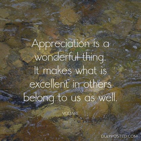 Appreciation... Quotes Voltaire, Quotes Appreciation, Attitude Of Gratitude Quotes, Wilderness Quotes, Gratitude Quotes Thankful, Voltaire Quotes, Truths Quotes, Blessed Friends, Quotes Gratitude