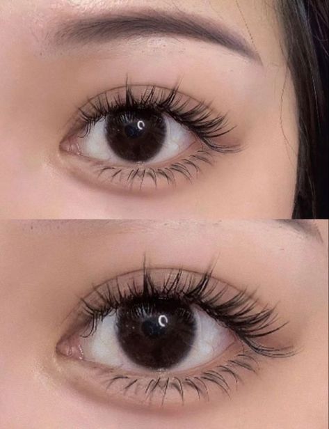 Lash Extensions Styles Natural Asian, Subtle Classic Lash Extensions, Eye Extension Styles, Hybrid Lash Extensions Styles Asian Eyes, Eyelash Extension Asian Eyes, Natural Asian Eyelash Extensions, Lower Eyelash Extensions, Natural Asian Lash Extensions, Natural Doll Eyelash Extensions