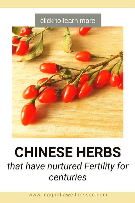 Struggling to conceive? Discover the powerful potential of Chinese herbs for fertility with our complete guide. Increase your chances of conceiving with these fertility herbs and make your dreams of starting a family come true! Eager to enrich your path to parenthood? Click to find out more on this post. Fertility Herbs, Herbs For Fertility, Holistic Healing Natural Treatments, Fertility Tea, Starting A Family, Egg Quality, Red Raspberry Leaf, Fertility Health, Chinese Herbal Medicine