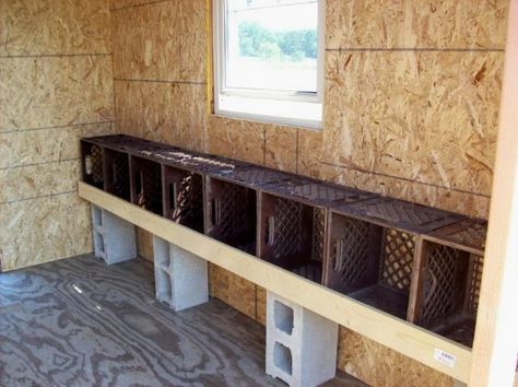 Easy Chicken Coop, Chicken Barn, Portable Chicken Coop, Backyard Chicken Coop Plans, Chicken Nesting Boxes, Diy Chicken Coop Plans, Backyard Chicken Farming, Nest Box, Coop Design