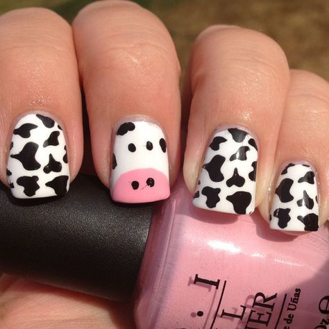 Country Acrylic Nails, Rodeo Nails, Cow Print Nails, Ideas For Fun, Western Nails, Top Cow, Cow Nails, Halloween Acrylic Nails, Diva Nails