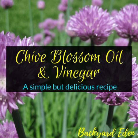 Chive Recipes, Chives Recipe, Best Herbs To Grow, Chive Flower, Chive Blossom, Homemade Balsamic Vinaigrette, Olive Oil Recipes, Vinegar Uses, Herb Recipes