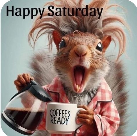 Happy Saturday Funny Hilarious, Coffee Time Morning Funny, Saturday Humor Hilarious, Good Morning Quotes Cute, Morning Quotes Cute, Saturday Quotes Funny, Funny Squirrel Pictures, Saturday Humor, Saturday Greetings