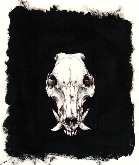 Image of Boar skull Boar Skull Drawing, Wild Boar Tattoo Design, Pig Skull Drawing, Boar Skull Tattoo, Wild Boar Tattoo, Hog Skull, Jeremy Hush, Boar Skull, Pig Skull