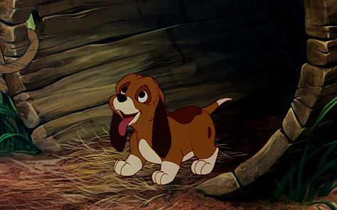 Cartoon The Fox And The Hound  Wallpaper Spongebob Friends, Friends Adventures, The Hound, Disney Dogs, Disney Animals, The Fox And The Hound, Old Disney, Lady And The Tramp, 2 Movie