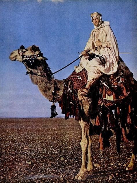 Laurence Of Arabia, King Paimon, Arab Revolt, T E Lawrence, Peter O'toole, Lawrence Of Arabia, Digital Museum, Foreign Film, المملكة العربية السعودية