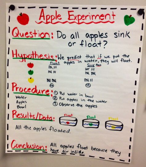 Apple Floating Experiment, Apples Sink Or Float Experiment, Apple Sink Or Float Preschool, Apple Tasting Anchor Chart, Parts Of An Apple Anchor Chart, Apple Exploration Preschool, Apple Anchor Chart Preschool, Preschool Apple Science, Sink Or Float Anchor Chart