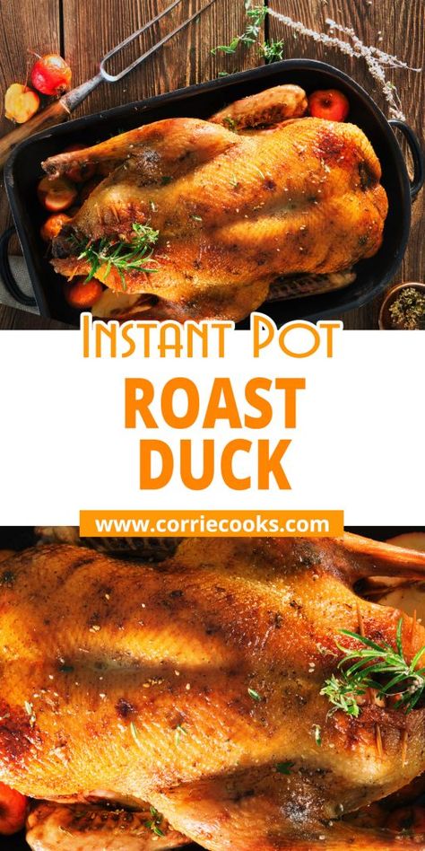 Instant Pot Roasted Duck https://www.corriecooks.com/instant-pot-roasted-duck/ Instapot Duck Recipe, Pressure Cooker Duck Recipes, Duck Recipes Instant Pot, Whole Duck Instant Pot Recipe, Instant Pot Duck Recipes, Duck Instant Pot Recipe, Crockpot Duck Recipes, Instant Pot Duck, Slow Cooker Duck