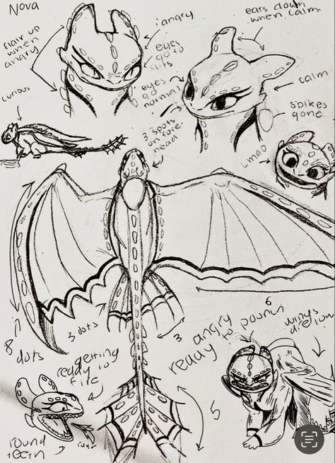 Elder Night Fury, Nightfury Sketches, Night Fury Anatomy, Httyd Toothless And Light Fury, Httyd Book Of Dragons Pages, Night Fury Sketch, Light Fury Drawing, Night Fury Drawing, Httyd Oc Dragon