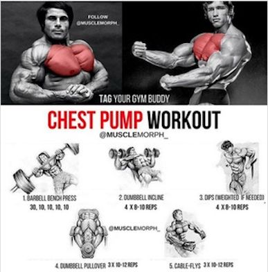 Super chest workout Pump Workout, Chest Day, Chest Exercises, Gym Buddy, Workout Chart, Chest Workouts, Chest Workout, Motivation Workout, Men's Fitness