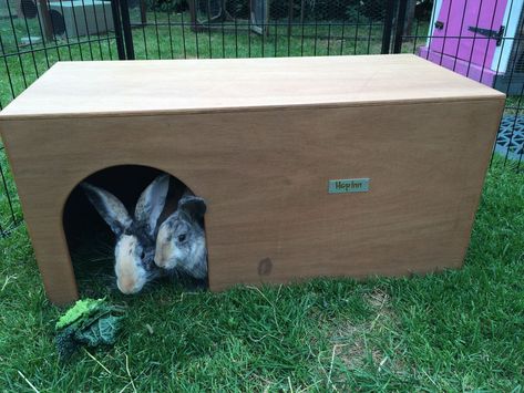 NEW Giant Rabbit Hideout Shelter - Fun Dog House too - Hop Inn Rabbit Shelter, Bunny Hideout, Rabbit Hideout, Giant Rabbits, Diy Den, Wild Bunny, Giant Rabbit, Pet Bunny Rabbits, Wild Rabbit