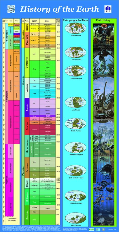 time-line-of-life-evolution-on-earth World History Facts, History Interactive Notebook, World History Classroom, History Of Earth, Ancient World History, Earth Map, History Notes, Our Planet Earth, History Timeline