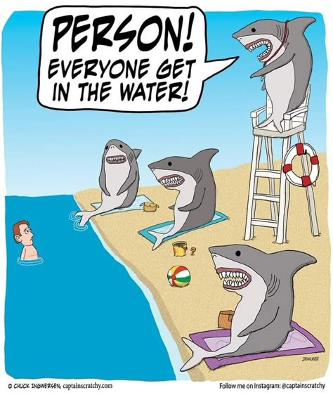 Shark Comic, Sharks Cartoon, Shark Week Funny, Silly Sharks, Silly Drawings, Animal Cartoons, Picture Jokes, Funny Cartoon Pictures, Funny Images Laughter