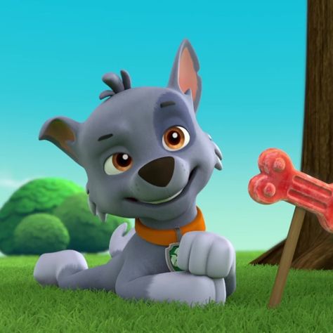 Rocky From Paw Patrol, Tracker Paw Patrol, Paw Patrol Dogs, Paw Patrol Tracker, Paw Patrol Rocky, Smash Board, Childhood Crushes, Ryder Paw Patrol, Rocky 3