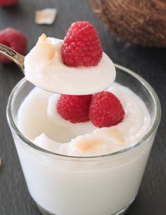 This vegan coconut pudding is ultra thick, creamy and rich and only takes about 15 minutes to make! Jello Squares, Resistant Starch, Vegan Pudding, Coconut Pudding, Vegan Coconut, Healthy Vegan Snacks, Potato Starch, Paleo Treats, Giada De Laurentiis