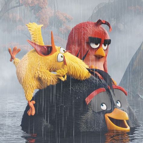 Angry Birds Wallpaper, Trio Characters, Angry Bird Pictures, All Angry Birds, Animated Movies Characters, Animated Cartoon Movies, Birds Movie, Angry Birds Movie, One Friend