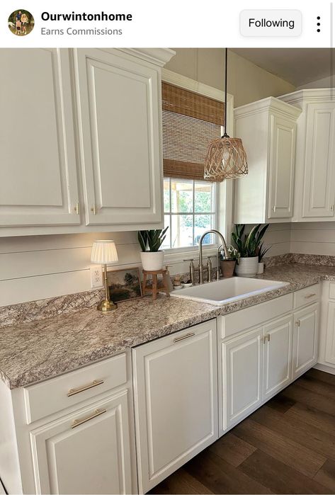 6 Refreshing Kitchen Cabinet Colors Beige Kitchen, Kitchen Remodel Inspiration, Starter Home, Kitchen Cabinet Colors, Simple Kitchen, Kitchen Inspiration Design, Future Goals, Farmhouse Style Kitchen, Kitchen Redo