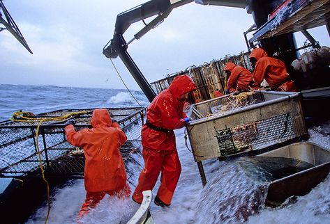 Crab fishermen AK Alaskan King Crab, Alaska The Last Frontier, Deadliest Catch, Alaska Fishing, Dangerous Jobs, Crab Fishing, Fishing Pictures, King Crab, Fish Man