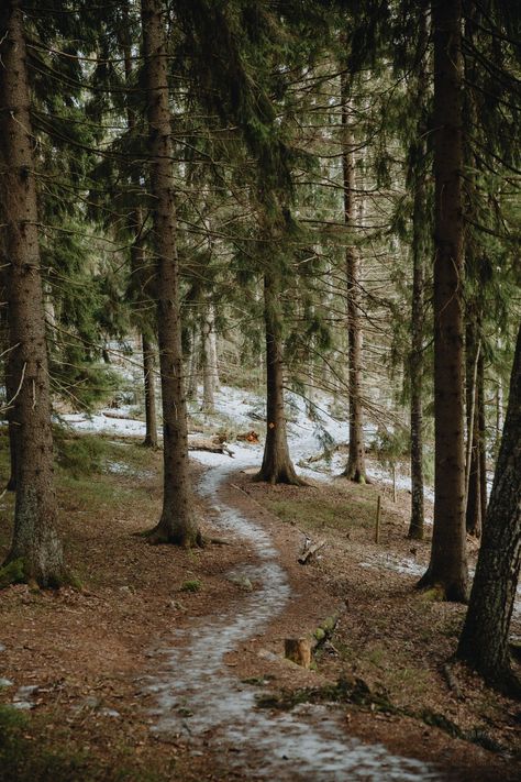 Sipoonkorpi Winter Hiking: Byabäcken Nature Trail - In the Woods, Dear Nature Woods Aesthetic, Walks In The Woods, Running In The Forest Aesthetic, Living In The Woods Aesthetic, Winter Walks Aesthetic, Hiking Aesthetic Winter, Winter Wellness Aesthetic, Wood Working Aesthetic, Winter Hike Aesthetic