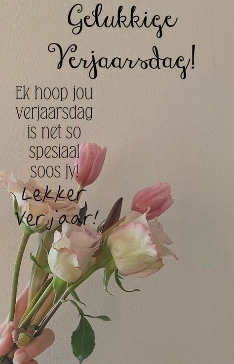 Verjaarsdagwense Afrikaanse, Silly Birthday Wishes, Lekker Verjaar, Happy Birthday Flowers Wishes, Happy Birthday Wishes Messages, Bday Wishes, Birthday Wishes Messages, Birthday Boys, Happy Birthday Wishes Quotes