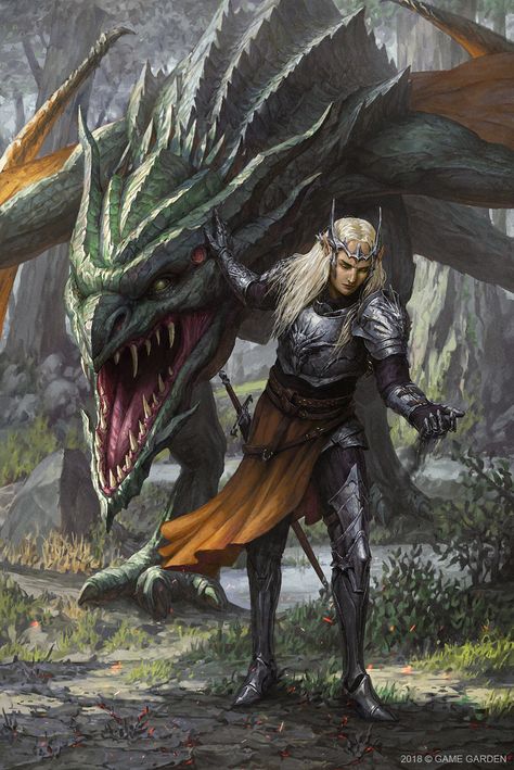 ArtStation - Dragonrider, Oleg Kapustin Game Garden, King Leopold, Warriors Art, Elf Art, Wildlife Artwork, Dragon Rider, Concept Art Character, Dnd Art, Dragon Artwork