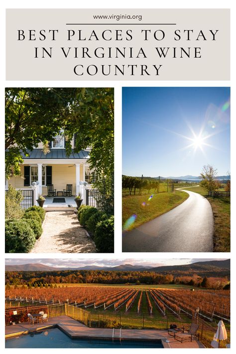 Plan a getaway to Virginia's wine country. Stay in scenic inns and sip on Virginia's finest wines. Farmhouse Inn, Virginia Wine Country, Virginia Wineries, Virginia History, Rock Photography, Wine Tasting Experience, Wine Trail, Shenandoah Valley, Wine Enthusiast