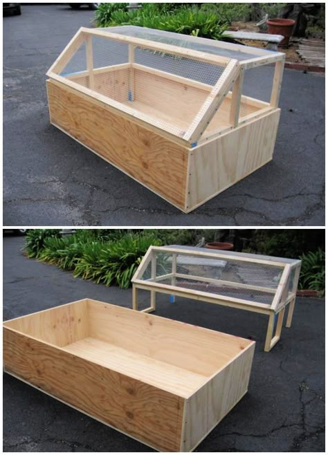 15 Easy DIY Chicken Brooder Plans You Can Make Pallet Chicken Brooder, Diy Baby Chicken Coop Ideas, Chicken Brooder Diy How To Build, Homemade Chicken Brooders, Easy Diy Chicken Brooder, Diy Chicken Brooders, Easy Chicken Brooder Ideas, Chicken Coop Brooder, Turkey Feeders Ideas