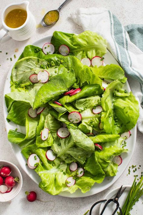 This butter lettuce salad, or bibb lettuce salad makes the perfect simple side salad. With boston bibb or butter lettuce, chives, and radish, it is tossed in a simple dijon vinaigrette. Bibb Lettuce Salad, Salad With Bread, Creamy Basil Dressing, Easy Side Salad, Butter Lettuce Salad, Boston Lettuce, Simple Side Salad, Creative Salads, Dizzy Cook