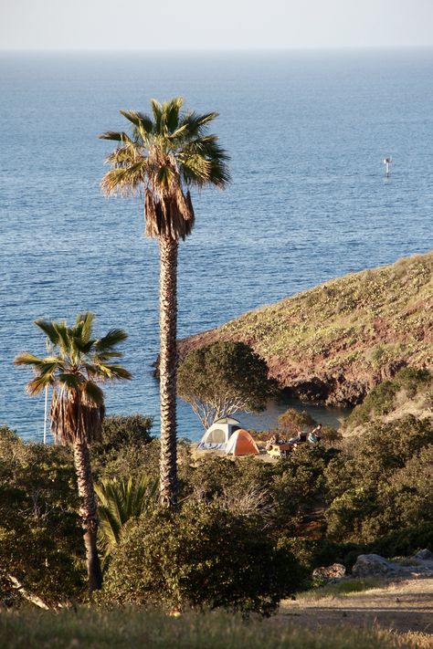 camping in two harbors on santa catalina island Two Harbors Catalina, Glamping Inspiration, Island Camping, Santa Catalina Island, Two Harbors, California Lifestyle, Santa Catalina, Catalina Island, Summer Destinations