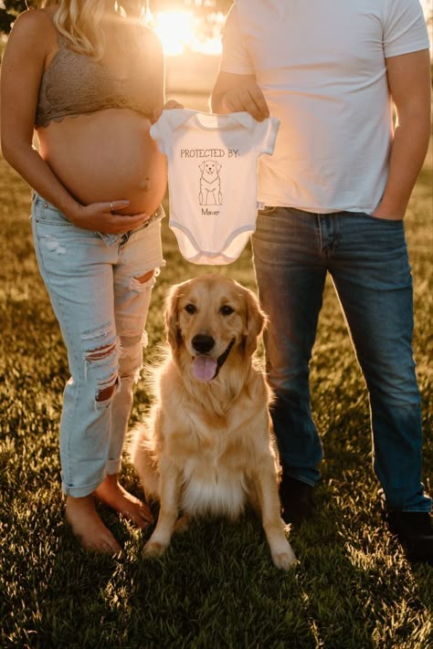 Pregnancy announcement ideas Pregnancy Announcement Photoshoot With Dog, Outdoor Maternity Photos With Dog, Photoshot Pregnant, Couple Maternity Photo Shoot Ideas, Maternity Pics With Dog, September Maternity Photoshoot, Maternity Photo Shoot With Dog, Maternity Photo With Dog, Maternity Dog Photoshoot