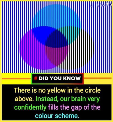 Optical Illusions Pictures, Weird History Facts, Illusion Pictures, True Interesting Facts, Cool Science Facts, Interesting Facts About World, Imperfectly Perfect, Amazing Science Facts, Optical Illusions Art