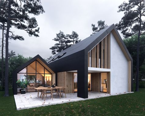 Pavilion House Pavilion House, Hotel Design Architecture, Farmhouse Exterior Design, Chalet Design, Modern Barn House, Prefabricated Houses, Modern Barn, Design Hotel, Farmhouse Exterior