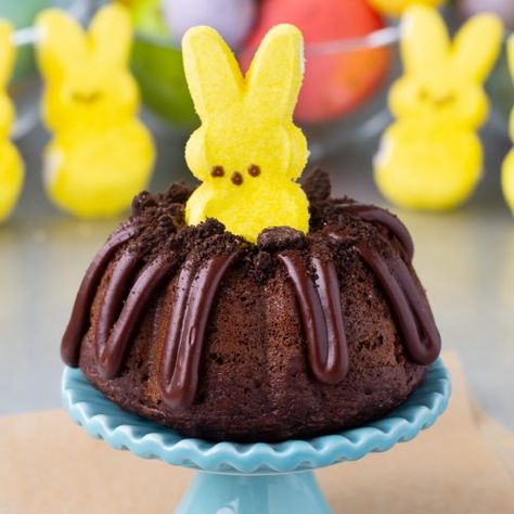 Bunny Bundt Cakes - Your Cup of Cake Cakes For Easter, Easter Themed Desserts, Easter Desserts Cake, Easter Cake Easy, Cup Of Cake, Cake 2023, Basket Cake, Easy Easter Desserts, Nothing Bundt