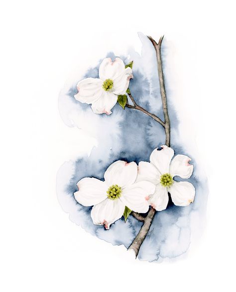 Watercolor White Flowers Tutorial, Watercolor Dogwood Flowers, Dogwood Flower Painting, Dogwood Watercolor, Dogwood Painting, White Flower Watercolor, Wall Magazine, Inspirational Paintings, Drawing Birds