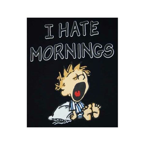 I hate mornings! Hate Mornings, Morning Cartoon, Night Owl, Summer Outfit, Graphic Tee, Graphic Tees, Novelty Sign, Fan Art, Funny