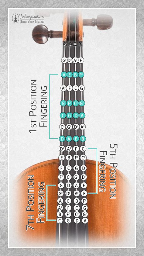 Cello Fingerboard Chart, How To Play Violin, Violin Notes For Beginners, Violin Beginner Learning, Violin Chords, Violin Fingering Chart, Akordy Na Ukulele, Violin Tips, Violin Tutorial