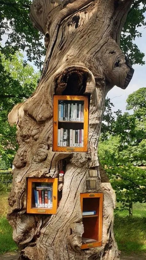 Library In Forest, Free Little Library Ideas, Cabin Library, Little Library Ideas, Tree Library, Booklover Aesthetic, Readers Aesthetic, Little Free Library Plans, Forest Hotel