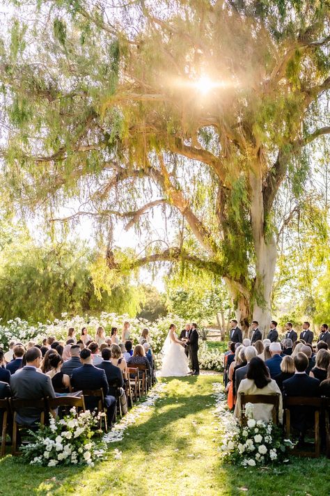 Santa Ynez Wedding, San Diego Wedding Venues, Southern California Wedding Venues, Wedgewood Wedding, Rustic Modern Wedding, Private Estate Wedding, Santa Ynez, Orange County Wedding, Wedding Southern California