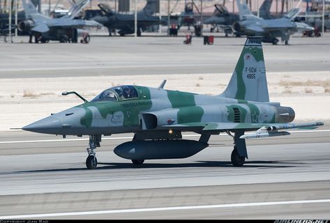 Brazilian Air Force Northrop F-5EM Tiger II Tiger Family, Brazilian Air Force, Tiger Ii, Air Force, Aircraft, Force, Vehicles, Pins, Quick Saves