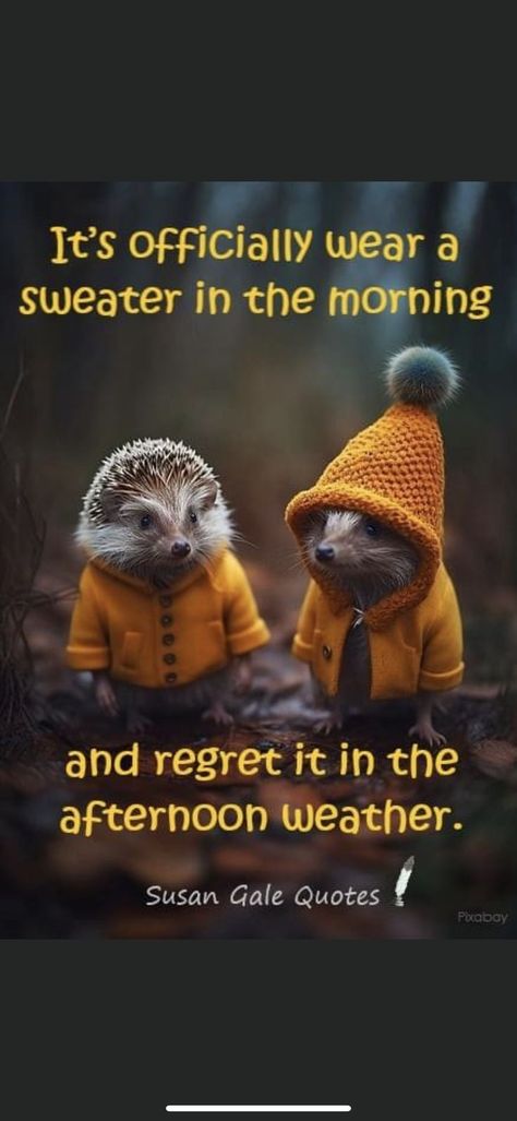 Chilly Morning Quotes Humor, Cold Weather Funny Humour, Fall Good Morning Quotes, Fall Quotes Funny Humor, Fall Back Quotes, Fall Weather Quotes, Work Reflections, Morning Funnies, Weather Humor