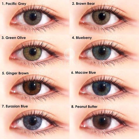 Which color would you like to try? Grab yours now! 
👇🏻👇🏻👇🏻
otakulens in colors:
1. pacificgrey
2. brownbear
3. greenolive
4. blueberry
5. gingerbrown 
6. macawblue
7. eurasianblue
8. peanutbutter 

Gorgeous eyes by @__.amazing_ Colour With Name, Prescription Contact Lenses, Eye Lens Colour, Eye Color Chart, Natural Color Contacts, Color Contacts, Eye Contact Lenses, Eye Lenses, Girls Attire